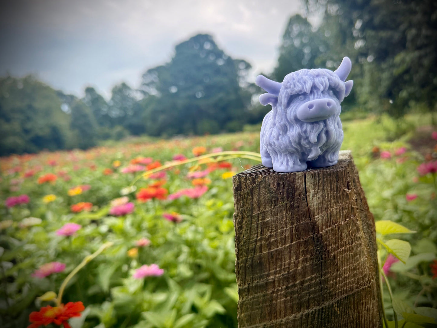 Joyful Highland Cow Molded Soap | The Happy Otter