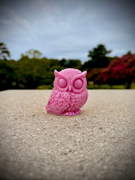 Kindred Owls Molded Soap | The Happy Otter